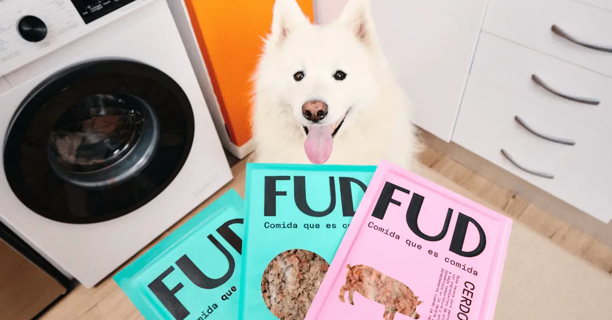 Alimentaci&oacute;n sana y natural para perros